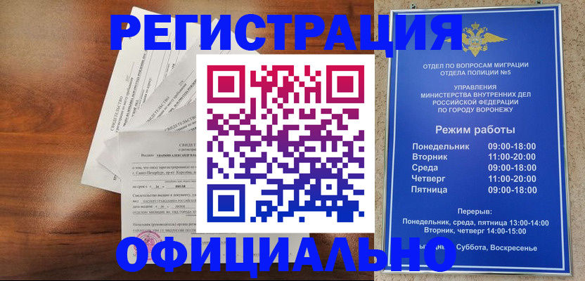 прописка поиск в Белгородской области